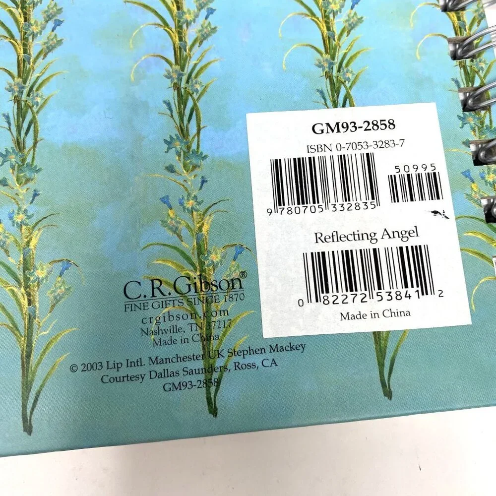C. R. Gibson Reflecting Angel Spiral Hard Cover Notebook Journal Lined